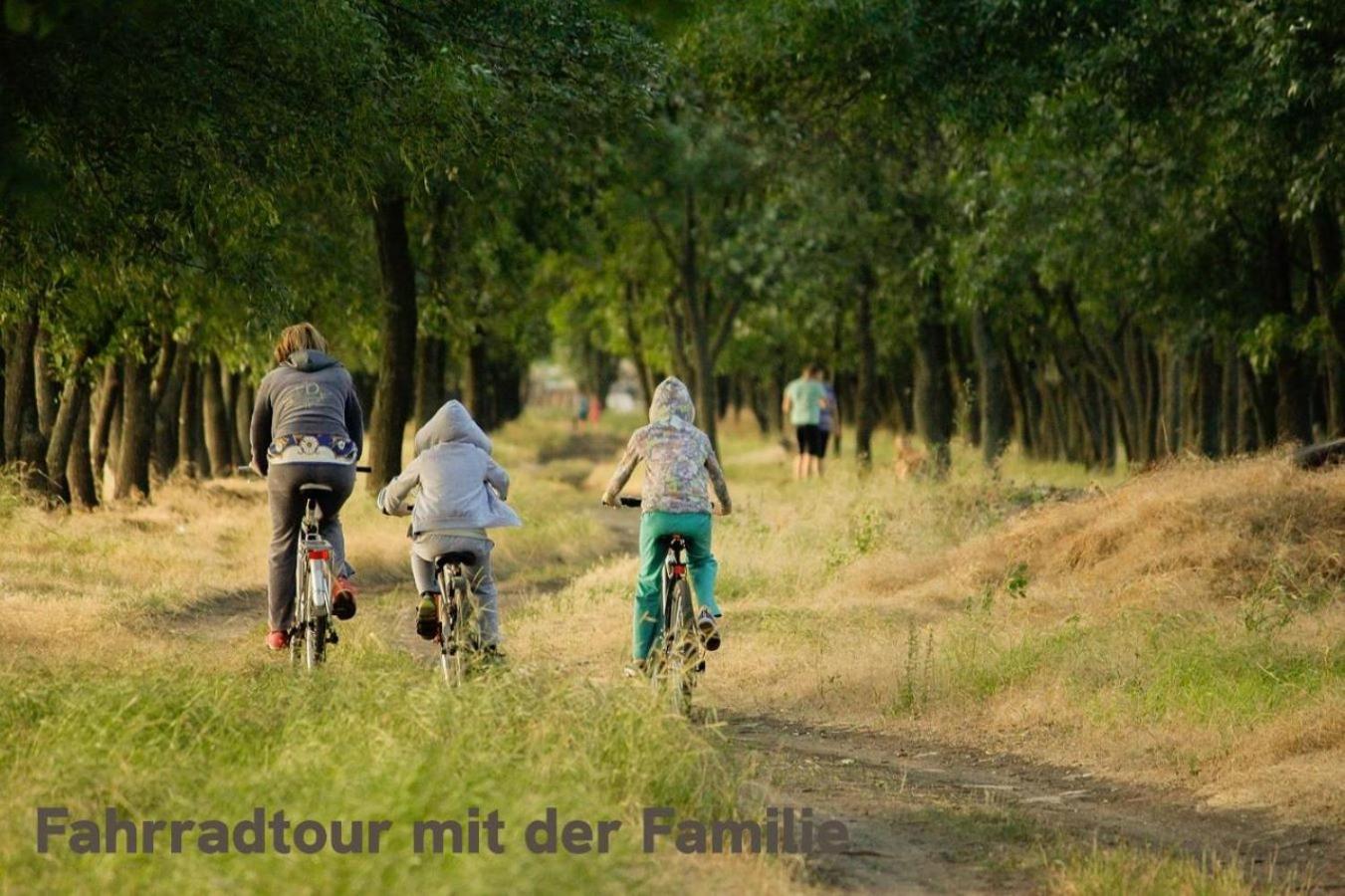 "Lilie" In Geestland-Langen, Ideal Fuer Familien & Homeoffice - Wlan & Parkplatz - 3 Zimmer, Balkon - Nahe Bremerhaven Exteriör bild
